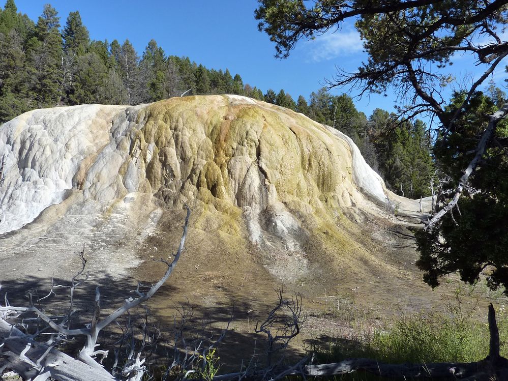Yellowstone Mammoth Hotsprings (77).JPG